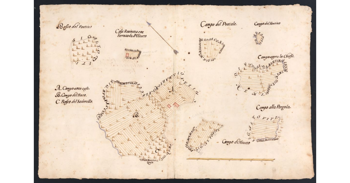 Podere di Palaia posto nel Popolo di S. Martino a Leccio Potesteria di Calenzano