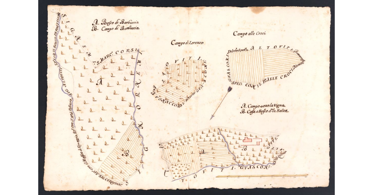 Podere di Vignale posto nel Popolo di S. Martino a Leccio Potesteria di Calenzano