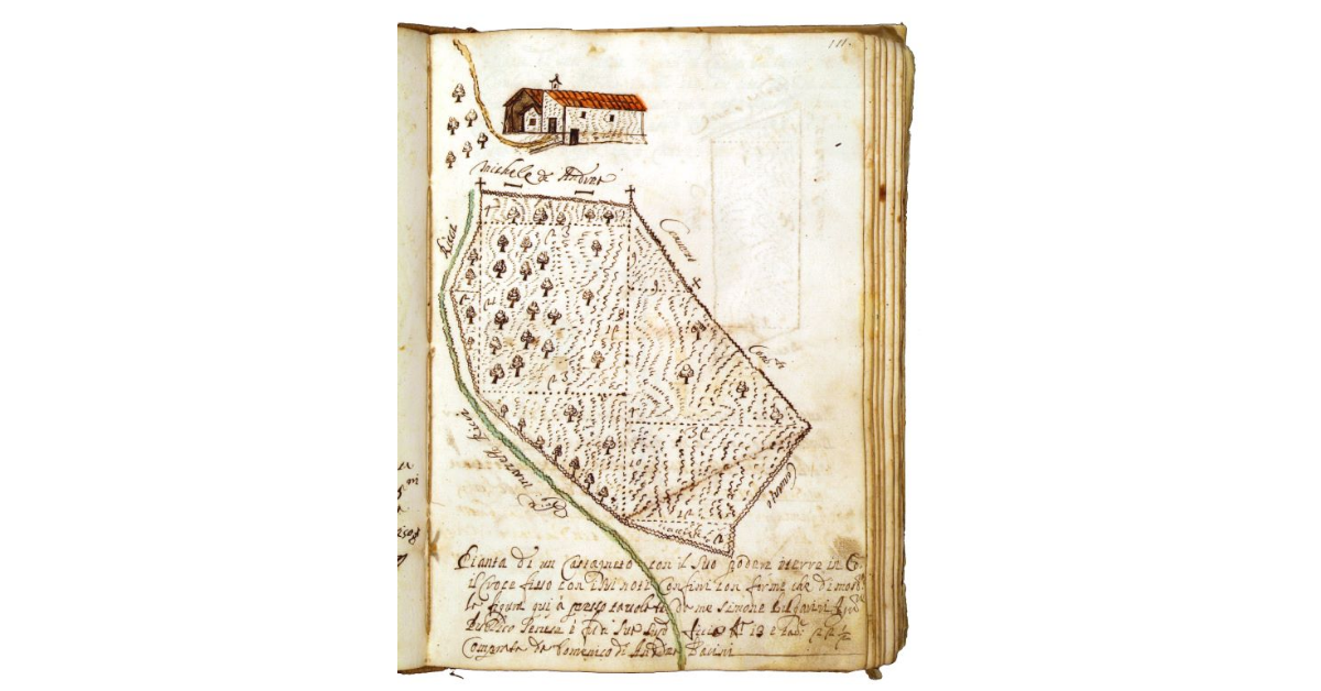 [Podere con castagneto in contrada il Crocifisso]