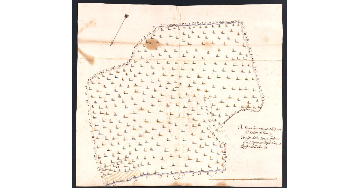 [Boschi dipendenti dal Podere di Garza posto nel Popolo di S. Andrea a Cerreto Maggio Potesteria di Scarperia]