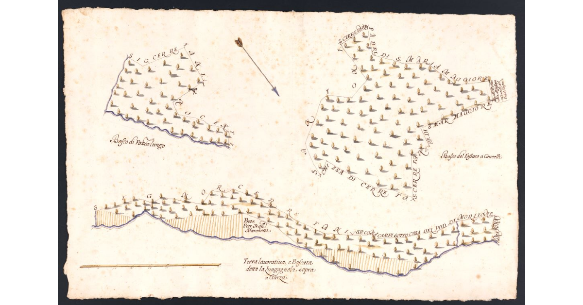 [Boschi dipendenti dal Podere di Garza posto nel Popolo di S. Andrea a Cerreto Maggio Potesteria di Scarperia]