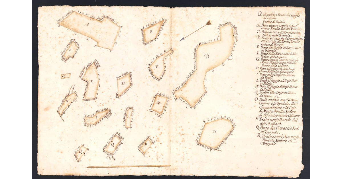 [Prati dipendenti dai poderi della Fattoria di Morello]