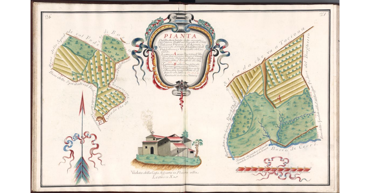 Pianta del Podere luogo detto accanto alla Chiesa, posto nel Popolo di S.a Maria a Talciona, Piviere di Staggia e Vescovado di Colle, Potesteria di Poggibonsi, e Vicariato di Certaldo