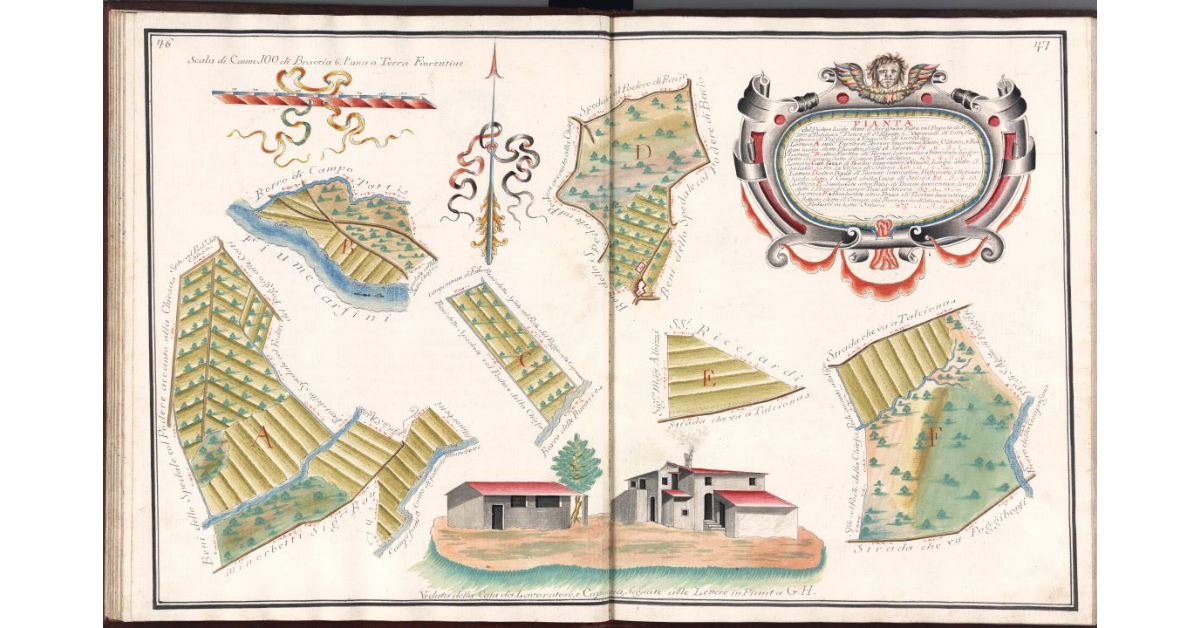 Pianta del Podere luogo detto Il Borghetto, posto nel Popolo di S.a Maria a Talciona, Piviere di S.a Agnese e Vescovado di Colle, Potesteria di Poggibonsi, e Vicariato di Certaldo