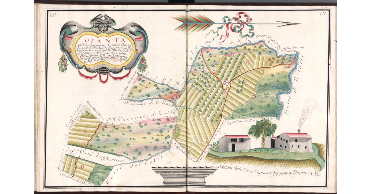 Pianta del Podere luogo detto Il Coltaccio, posto nel Popolo di S.a Maria a Lecchi, Propositura di Poggibonsi, Vescovado di Colle, Potesteria di Poggibonsi, e Vicariato di Certaldo