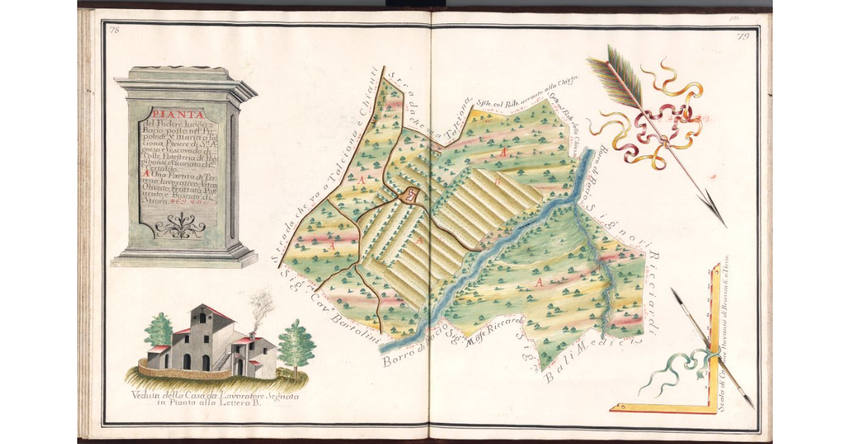 Pianta del Podere luogo [detto] Bacio, posto nel Popolo di S.a Maria a Talciona, Piviere di S.a Agnesa, e Vescovado di Colle, Potesteria di Poggibonsi, e Vicariato di Certaldo