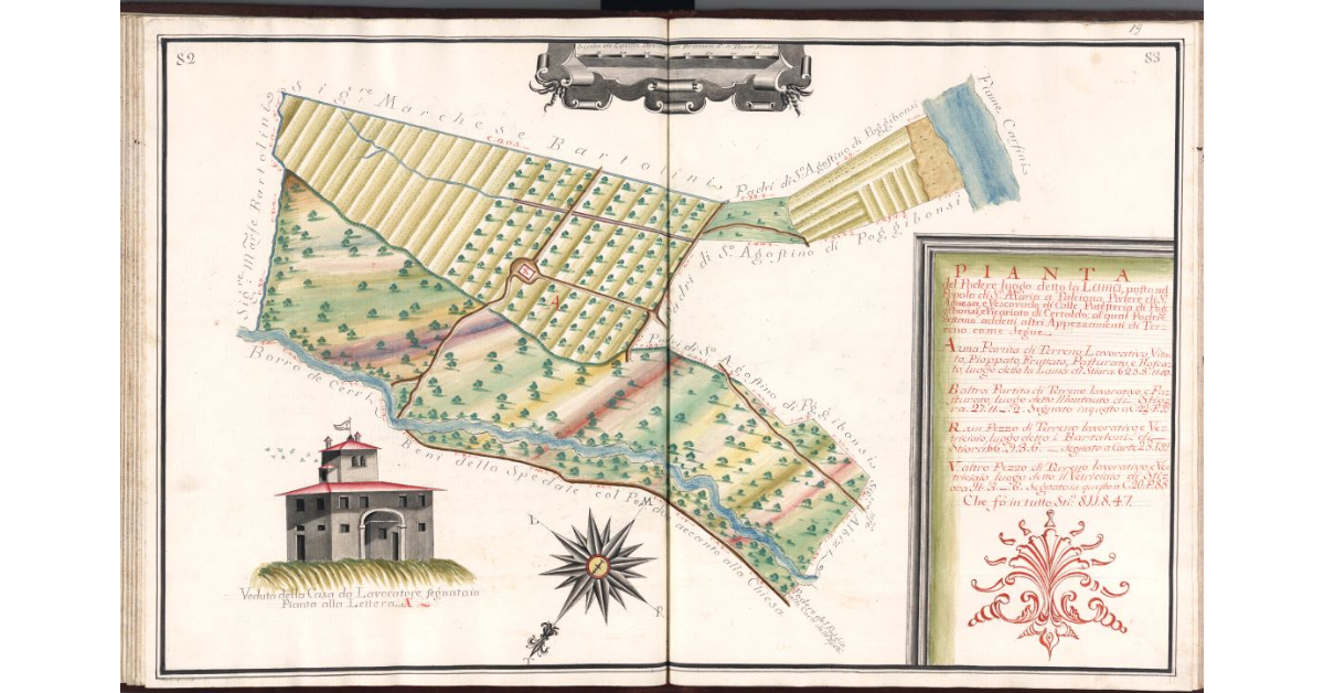 Pianta del Podere luogo detto La Lama, posto nel Popolo di S.a Maria a Talciona, Piviere di S.a Agnesa, e Vescovado di Colle, Potesteria di Poggibonsi, e Vicariato di Certaldo