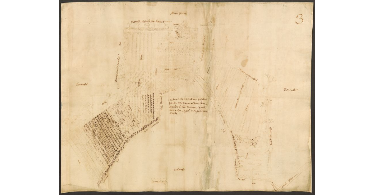 [Pianta di un podere con indicazione degli usi del suolo nei pressi della strada pisana]