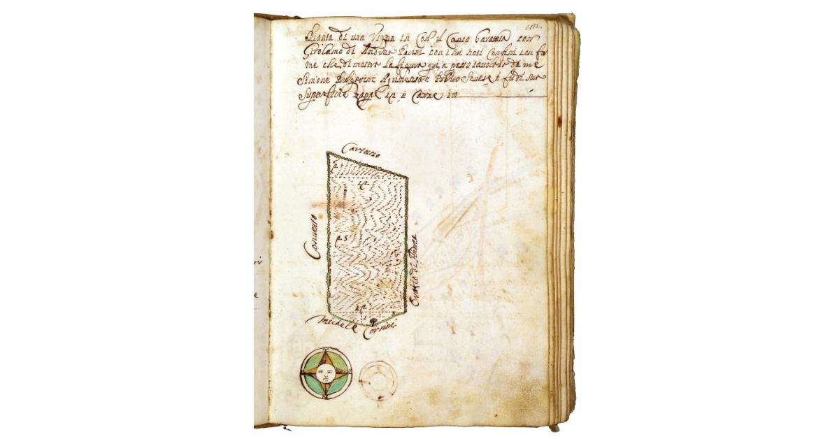 [Vigna in contrada il Canto]