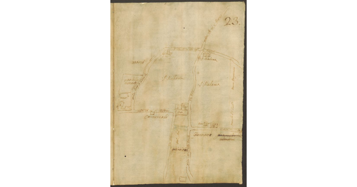 [Pianta di alcuni terreni posti sulla collina di Careggi]