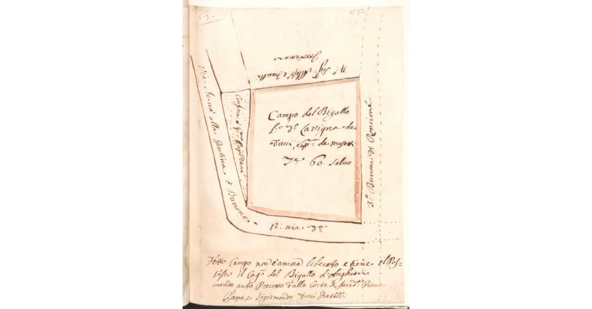 [Pianta di un appezzamento di terreno del Magistrato del Bigallo]
