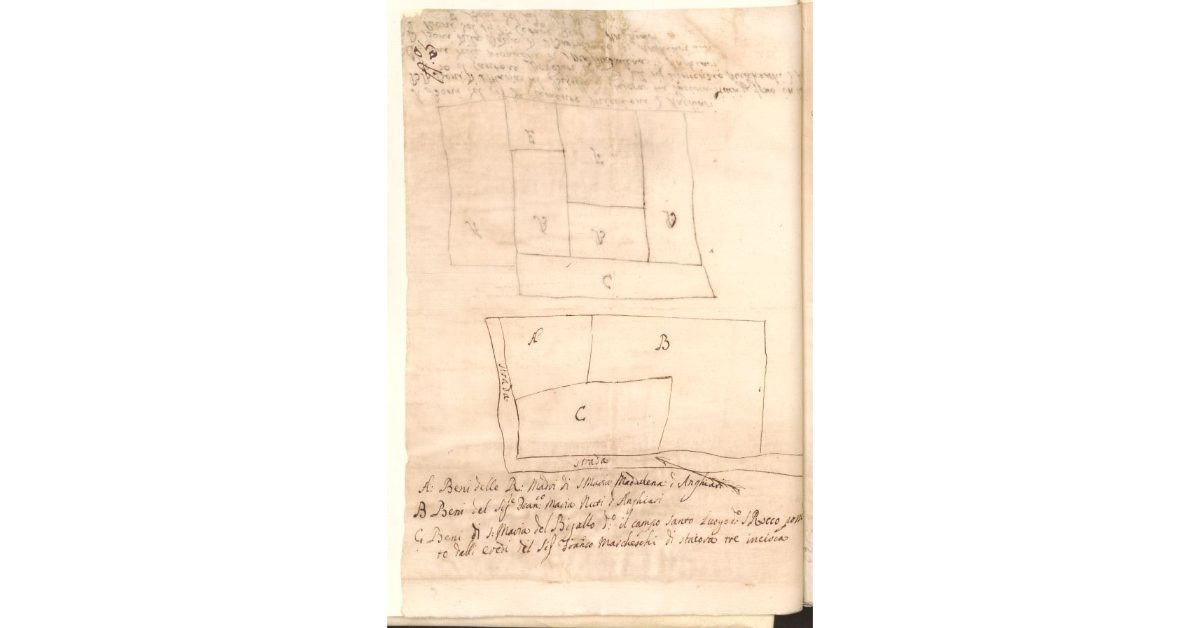 [Pianta di un tereno dello Spedale di S. Maria del Bigallo concesso a livello]