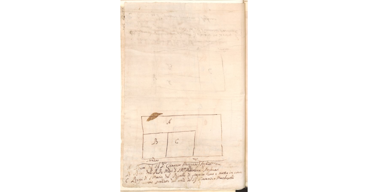 [Pianta di un terreno dello Spedale di S. Maria del Bigallo concesso a livello]