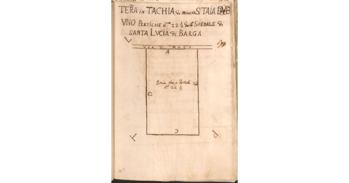 [Appezzamento di terreno appartenente allo Spedale di S. Lucia di Barga e concesso a livello agli eredi del Sergente Francesco Ciarpi]