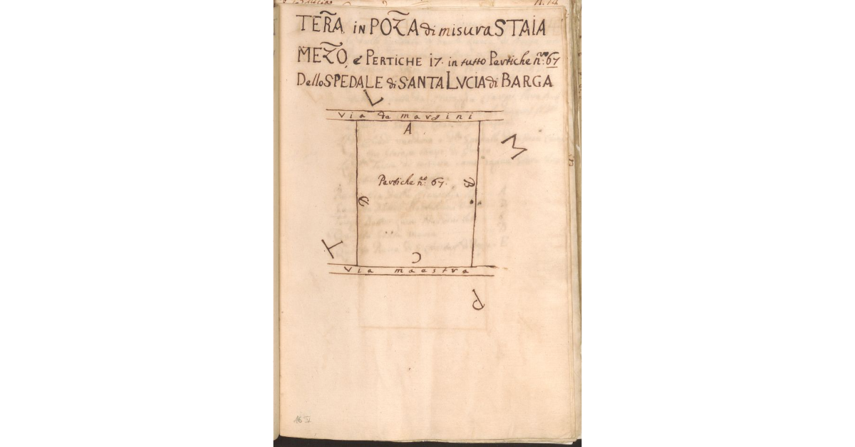 [Appezzamento di terreno appartente allo Spedale di S. Lucia di Barga e concesso a livello agli eredi del Sergente Francesco Ciarpi]