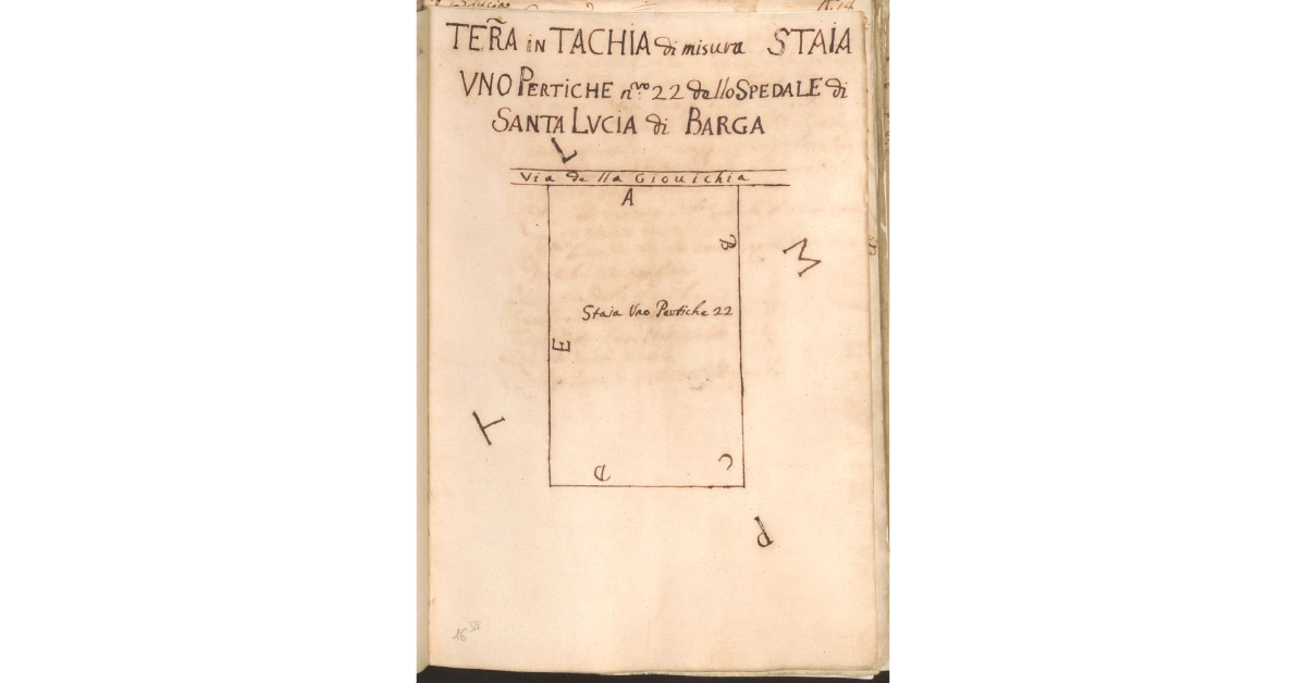 [Appezzamento di terreno appartente allo Spedale di S. Lucia di Barga e concesso a livello agli eredi del Sergente Francesco Ciarpi]