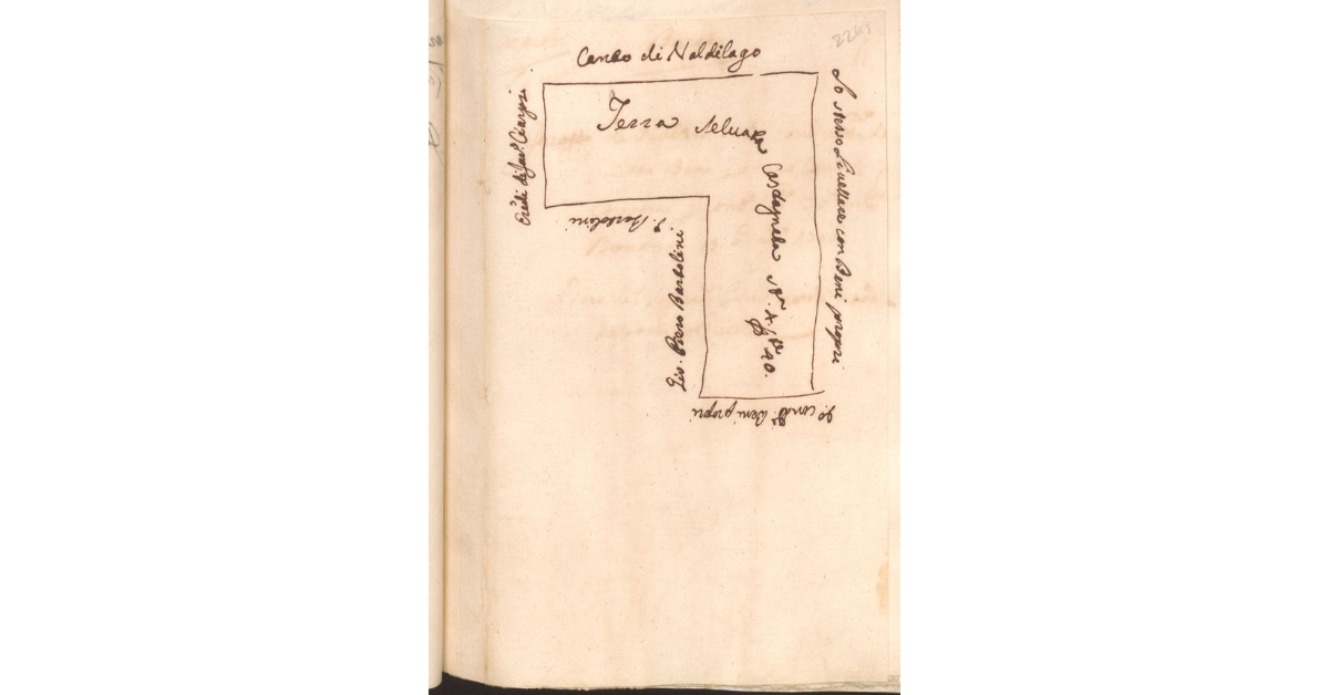 [Appezzamento di terreno appartenente allo Spedale di S. Lucia di Barga e concesso a livello a Pietro Marchi]