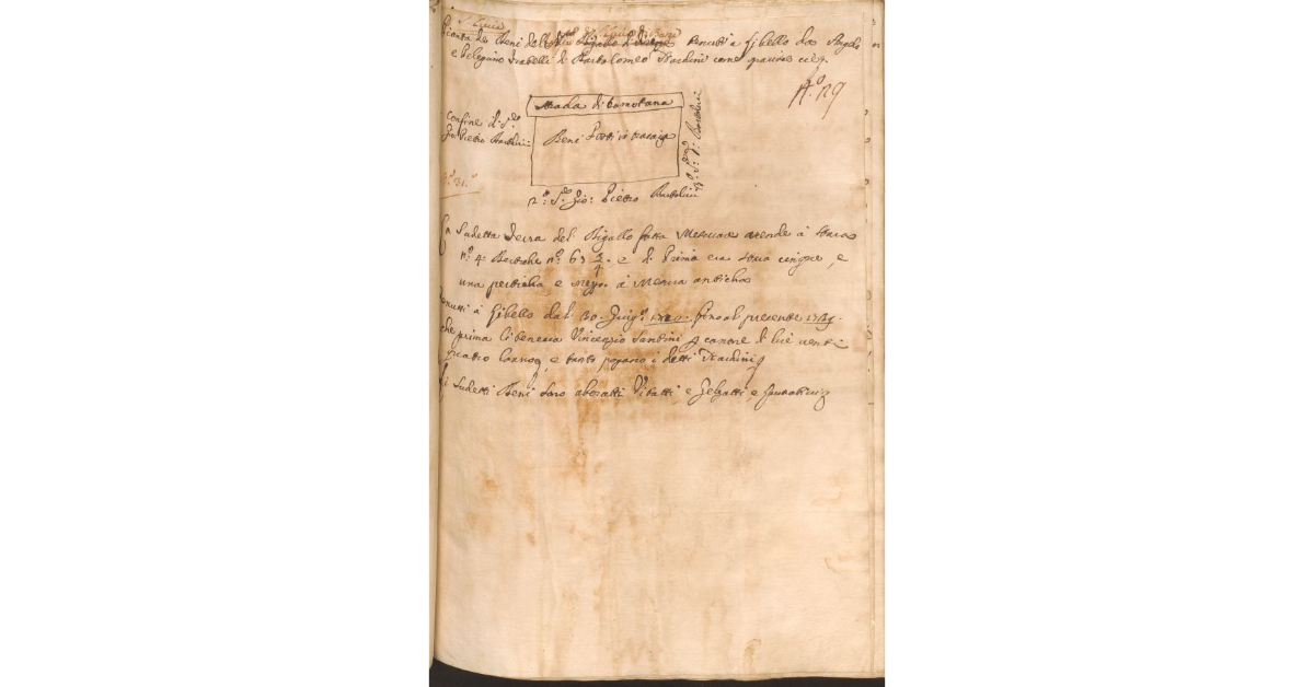 [Appezzamento di terreno appartenenete allo Spedale di S. Lucia di Barga e concesso a livello ad Angelo e Pelegrino Stardini]