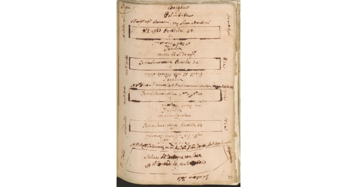 [Appezzamenti di terreno appartenenti allo Spedale di S. Lucia di Barga e concessi a livello ai fratelli Pepi]