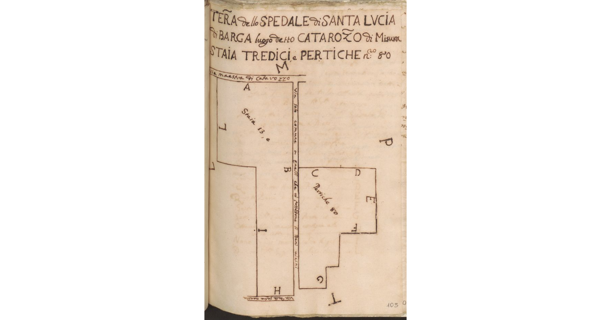 [Appezzamenti di terreno appertenenenti allo Spedale di S. Lucia di Barga e concesso a livello a Matteo di Bartolomeo Casci]