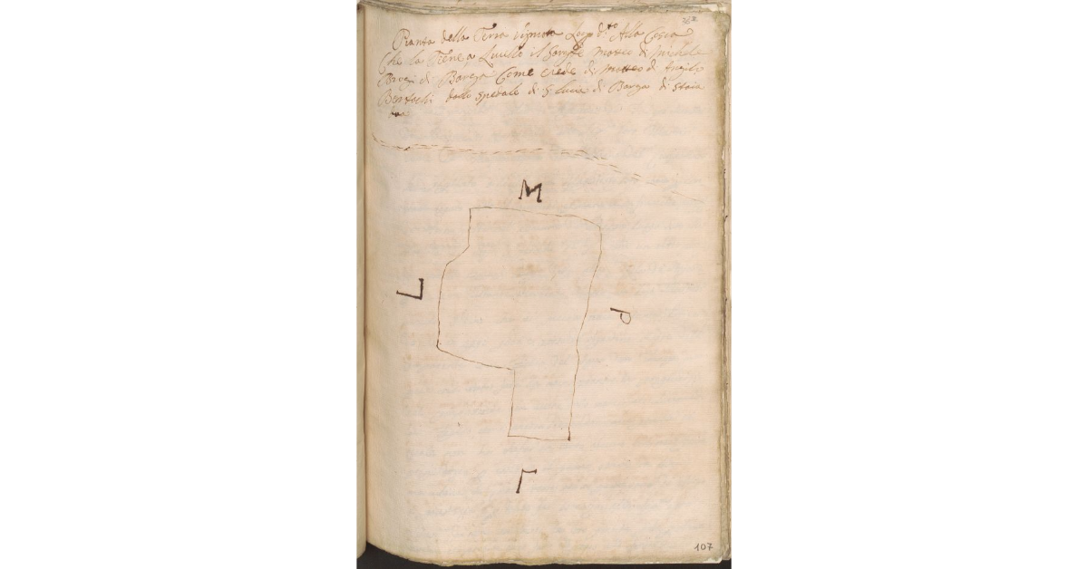 Pianta della Terra Vignata Luogo d.to Alla Coscia che la Tiene a Livello il Serg.te Matteo di Michele Brogi di Barga come erede di Matteo di Angiolo Bertochi dallo Spedale di S. Lucia di Barga di staia due