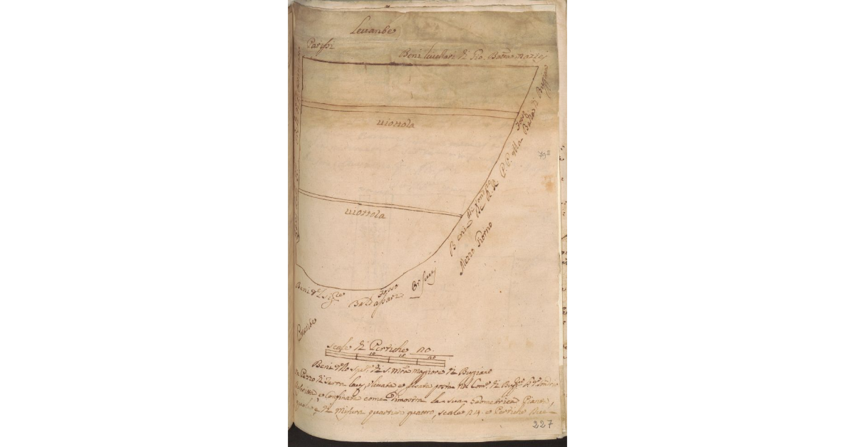 [Appezzamento di terreno concesso a livello ad Antonio Sermolli dallo Spedale di S. Maria Maggiore di Buggiano]