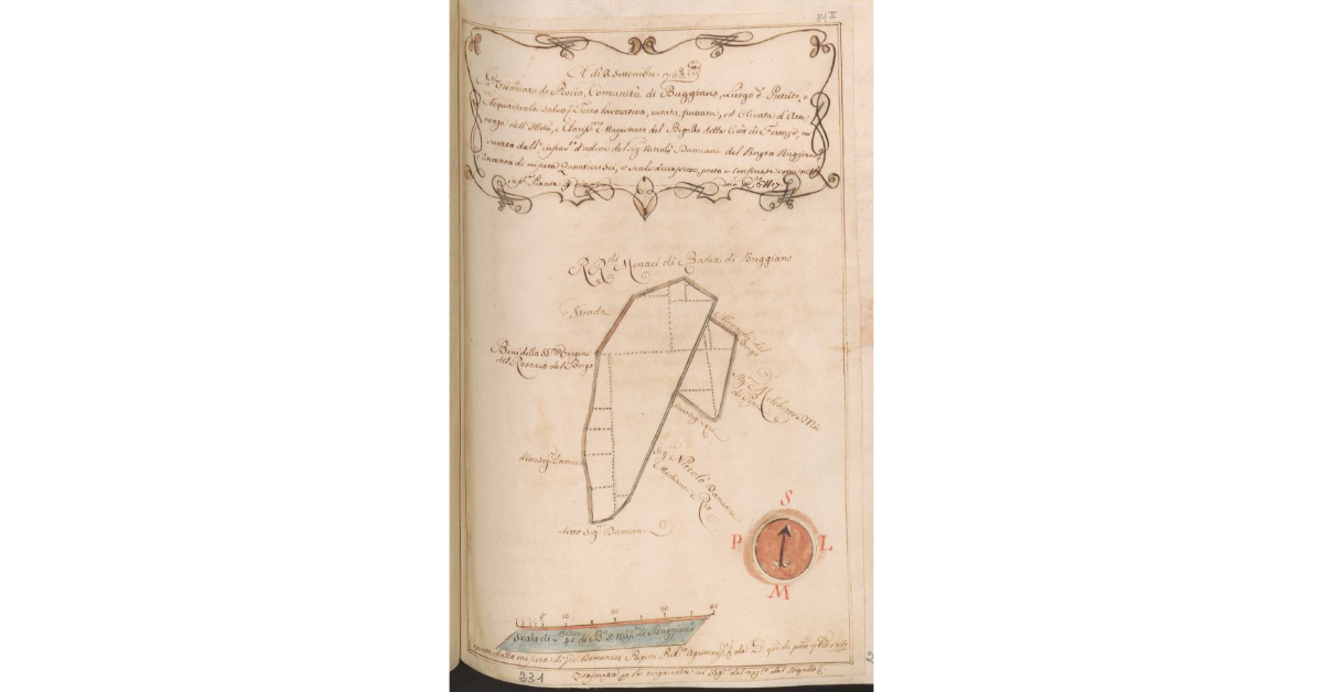 [Pianta di un appezzamento di terreno concesso a Niccolò Damiani dal Magistrato del Bigallo nella comunità di Buggiano]