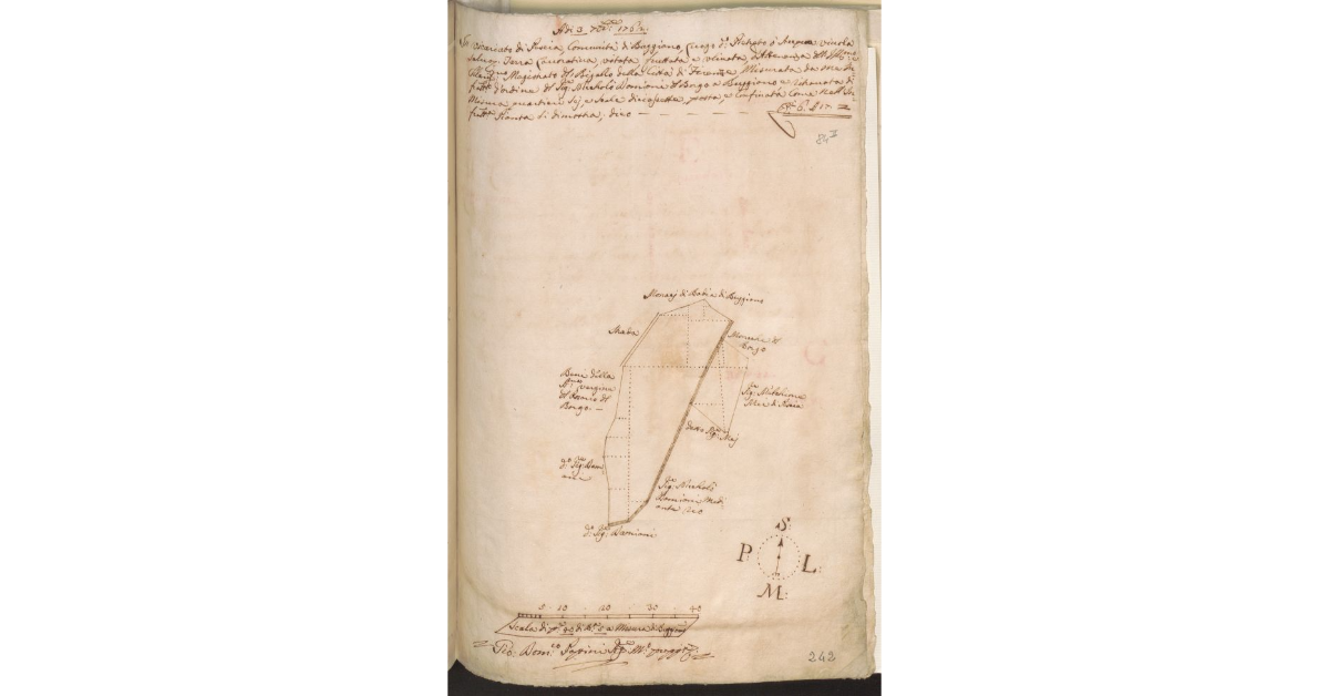 [Pianta di un appezzamento di terreno concesso a Niccolò Damiani dal Magistrato del Bigallo nella comunità di Buggiano]