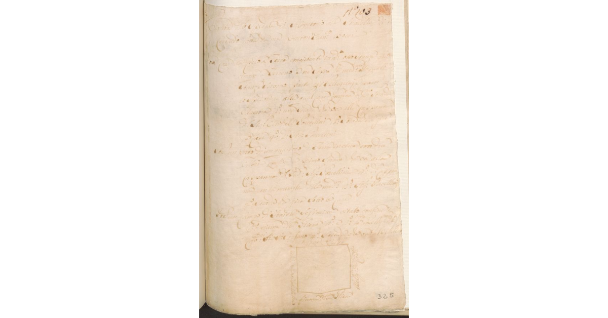 [Pianta di un campo dello Spedale di S. Antonio alla Stradella di Certaldo]