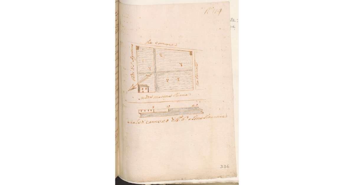 [Pianta dell'orto concesso a livello a Giuseppe Mori dallo Spedale del Bigallo]