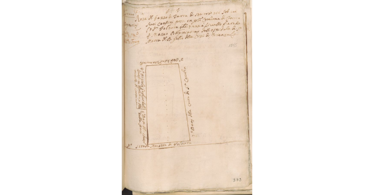 [Appezzamento di terreno concesso a livello all'erede di Matteo Bagnerini dallo Spedale di S. Maria Maddalena del Bigallo a Foiano]