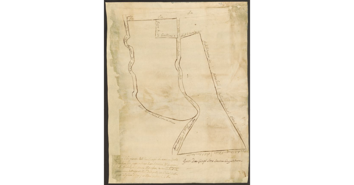 Questa è la pianta delli due Campi che tiene a Livello Benedetto Corsi, posti in Luogo detto il Molino del Comune, dallo Spedale di S. Maria del Borghetto, raccomandati anzi sottoposti alla protezione del Magistrato Ill.mo del Bigallo, con li suoi Confini giusti al giorno d'oggi et il P.mo confine è la Via