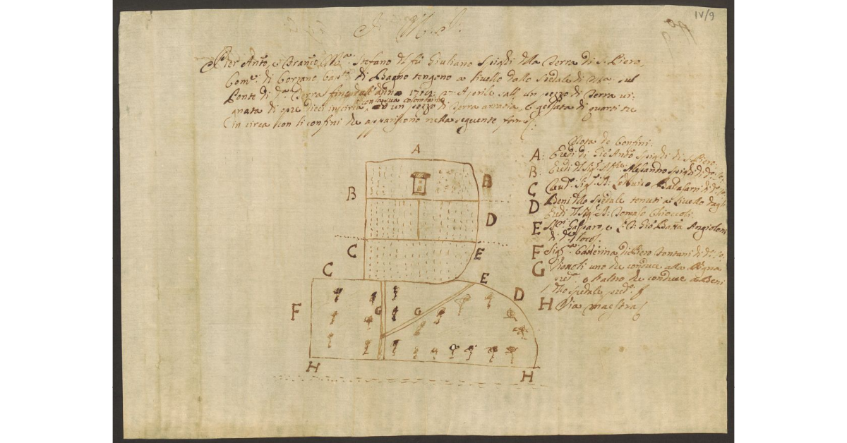 [Pianta dei terreni concessi a livello a Pier Antonio e Francesco Maria Stefano Spighi dallo Spedale di S. Maria sul Ponte a S. Piero, comune di Corzano, Capitanato di Bagno]