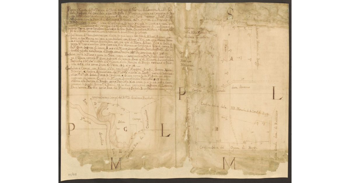 [Pianta dei terreni concessi a livello ai fratelli Canucchini nel territorio di Barga dal Magistrato del Bigallo]