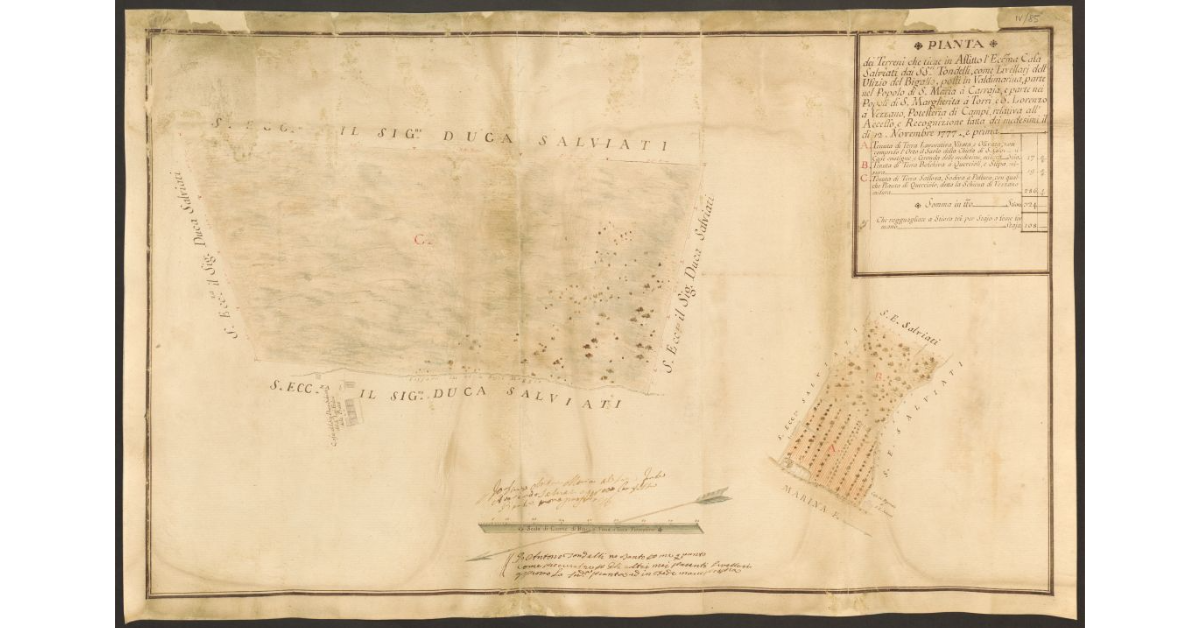 Pianta dei Terreni che tiene in Affitto l'Ecc.ma Casa Salviati dai SS.ri Tondelli, come Livellarj dell'Ufizio del Bigallo, posti in Valdimarina, parte nel Popolo di S. Maria a Carraja, a parte nei Popoli di S. Margherita a Torri, e S. Lorenzo a Vezzano, Potesteria di Campi, relativa all'Accesso, e Recognizione fatta dei medesimi il 12 novembre 1777 e prima