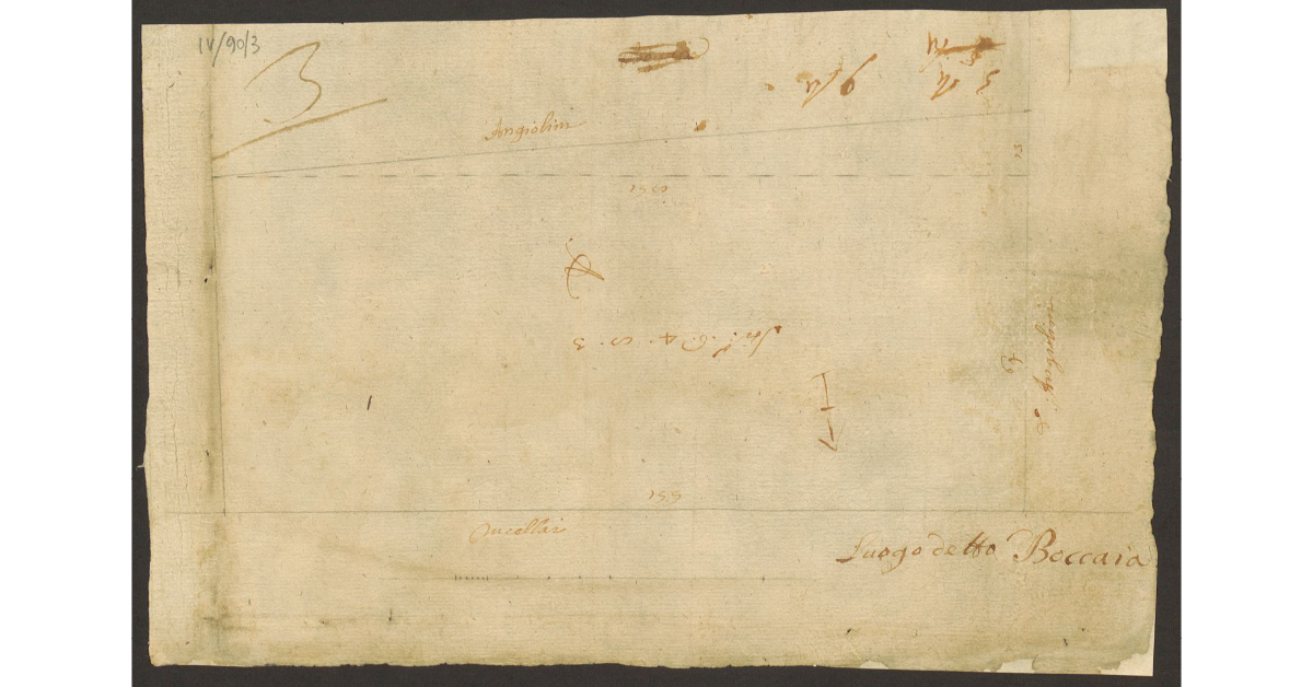 [Pianta di un terreno posto in Bogaia di proprietà dello Spedale del Ceppo di Carmignano]