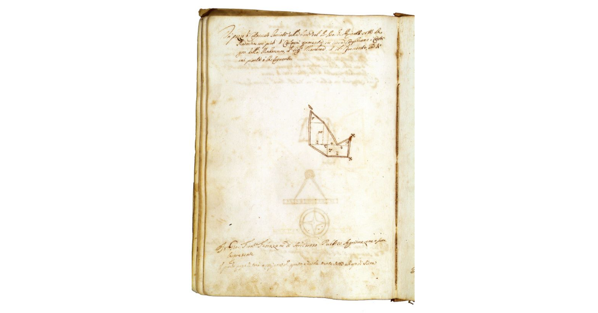 [Castagneto sotto la Madonna a Piancastagnaio]