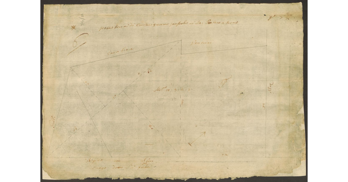 [Pianta di un appezzamento di terreno di proprietà dello Spedale del Ceppo di Carmignano]