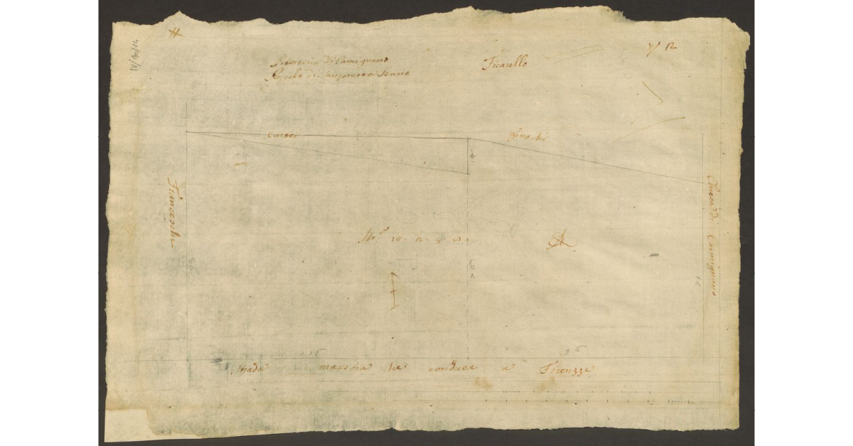 [Pianta di un appezzamento di terreno di proprietà dello Spedale del Ceppo di Carmignano]