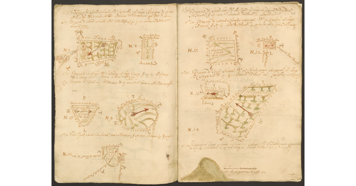 [Piante di alcuni terreni dello Spedale di Pontenano spettanti ai Capitani di S. Maria del Bigallo e concessi a livello a Mariotto del Sette e ai suoi nipoti]
