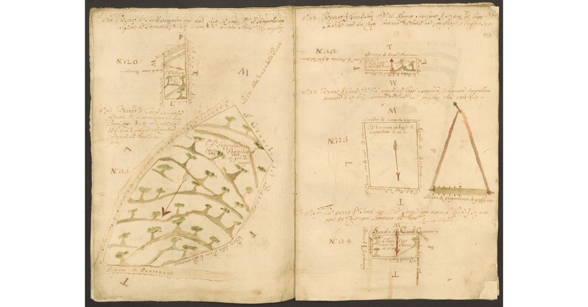 [Piante di alcuni terreni dello Spedale di Pontenano spettanti ai Capitani di S. Maria del Bigallo concessi a livello a Mariotto del Sette e ai suoi nipoti]