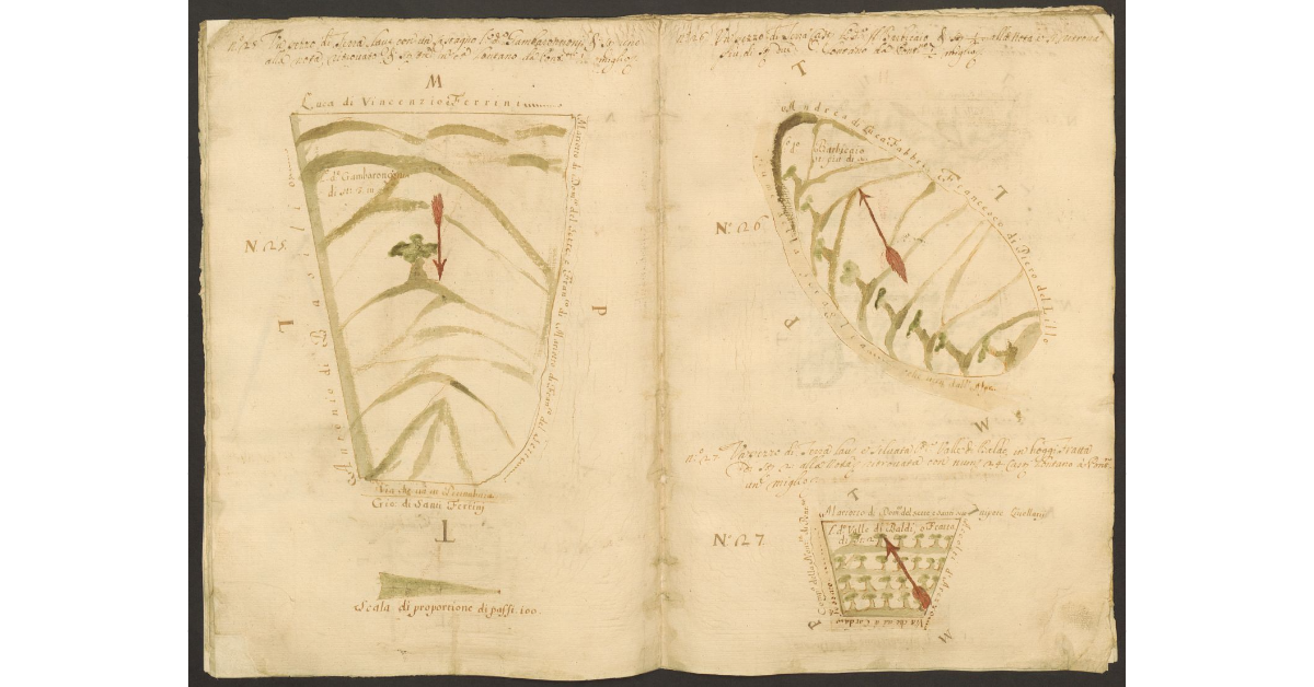 [Piante di alcuni terreni dello Spedale di Pontenano spettanti ai Capitani di S. Maria del Bigallo concessi a livello a Mariotto del Sette e ai suoi nipoti]