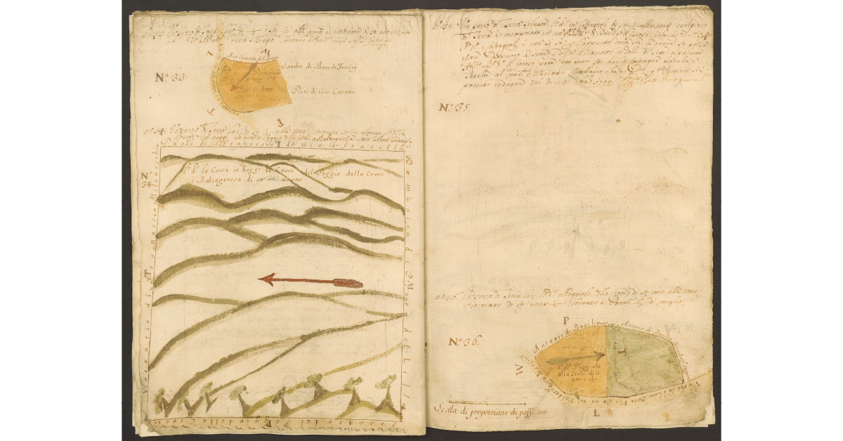 [Piante di alcuni terreni dello Spedale di Pontenano spettanti ai Capitani di S. Maria del Bigallo e concessi a livello a Mariotto del Sette e ai suoi nipoti]