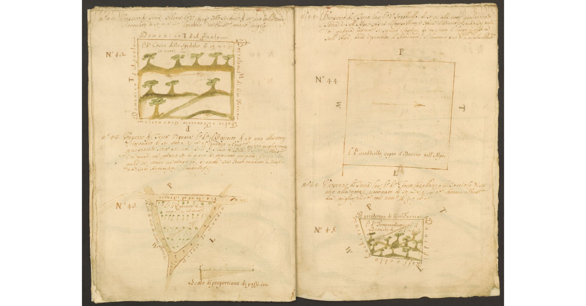 [Piante di alcuni terreni dello Spedale di Pontenano spettanti ai Capitani di S. Maria del Bigallo concessi a livello a Mariotto del Sette e ai suoi nipoti]