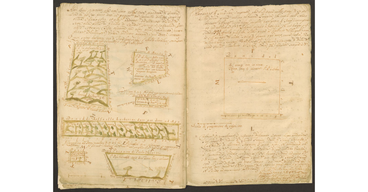 [Piante di alcuni terreni dello Spedale di Pontenano spettanti ai Capitani di S. Maria del Bigallo concessi a livello a Mariotto del Sette e ai suoi nipoti]