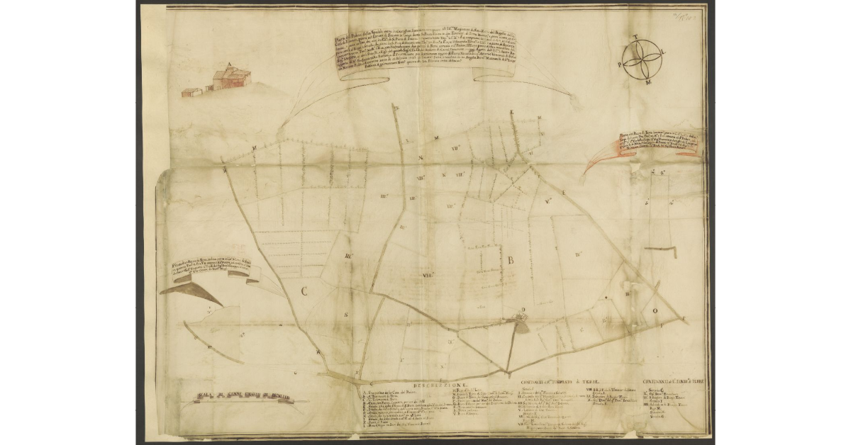 Pianta del Podere dello Spedale eretto in Catiglion Fiorentino, sottoposto all'Ill.mo Magistrato di Santa Maria del Bigallo della Città di Firenze, posto nel Comune di Foiano in Luogo detto S. Piero diviso in due Tenimenti di Terre lavorat.e, e parte vitate, et alborate, e parte sodive [...]