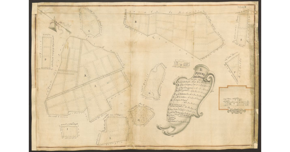 Il Podere del Orsaia