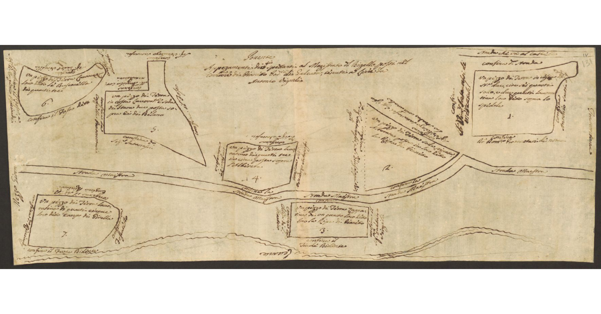Appezzamenti diversi spettanti al Magistrato del Bigallo posti nel comune di Pianetto Pod.ia di Galeate, tenuti a Linea da Antonio Vignoli