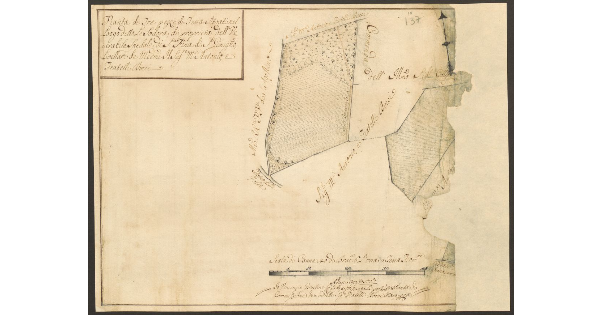 Pianta di Tre pezzi di Terra Silvati nel Luogo detto Le Sodora, di proprietà del Venerabile Spedale del Spedale di S. Fina di S. Gimig.no, Livellari de Med.mi il Sig.re M.a Antonio, e Fratelli Ducci
