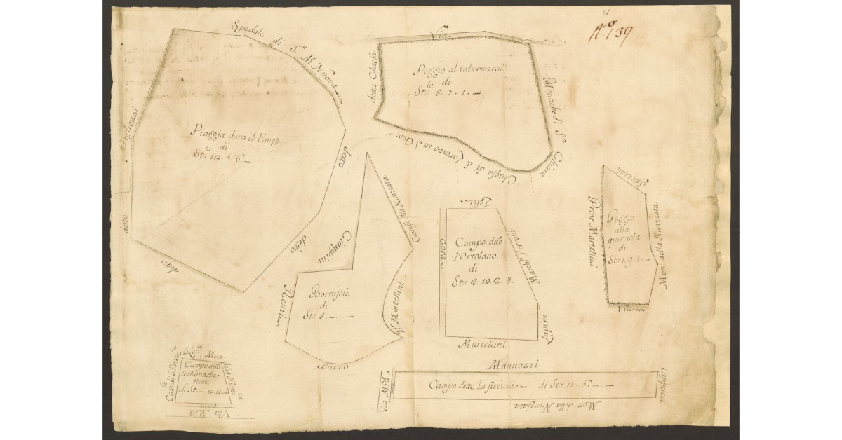 [Pianta dei terreni dello Spedale dei Poveri Religiosi di S. Giovanni tenuti a Livello dal Sig. Vincenzio Lelli]